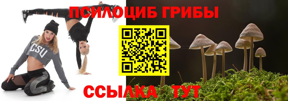 Псилоцибиновые грибы Cubensis Октябрьский